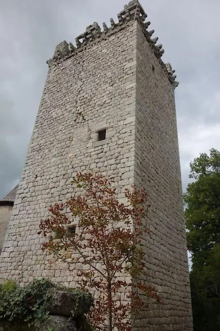 Maison Calme Pes De Conques En Rouergue Senergues